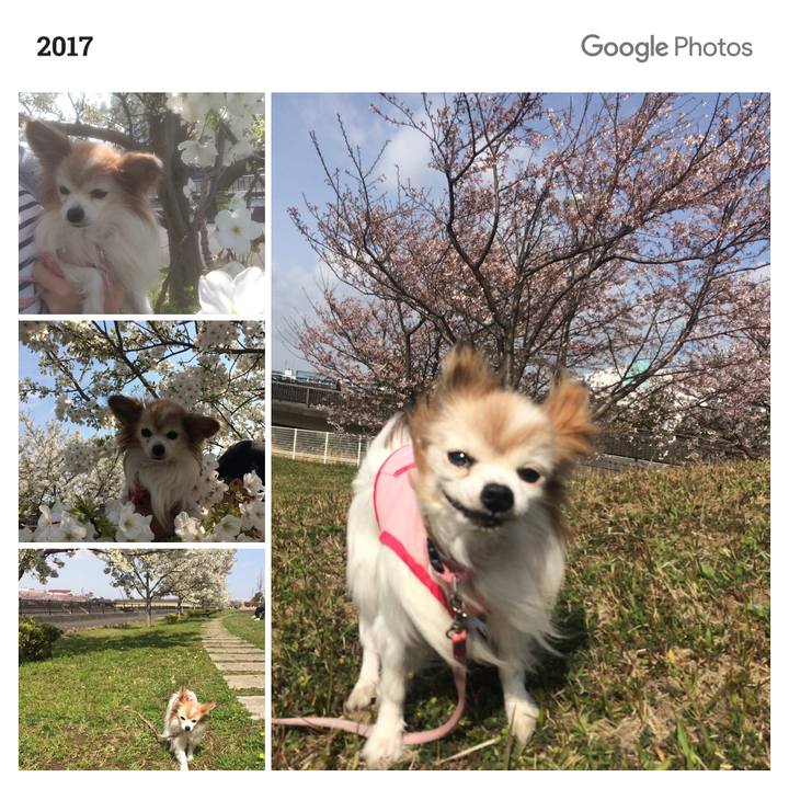 0daf06b8 2811 475c af87 bbce99366d7d 1586044659469