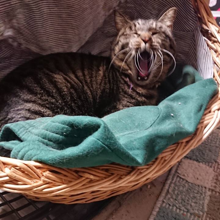 0daf08f9 ca64 4912 9538 46bc8a82eea9 1644403033763