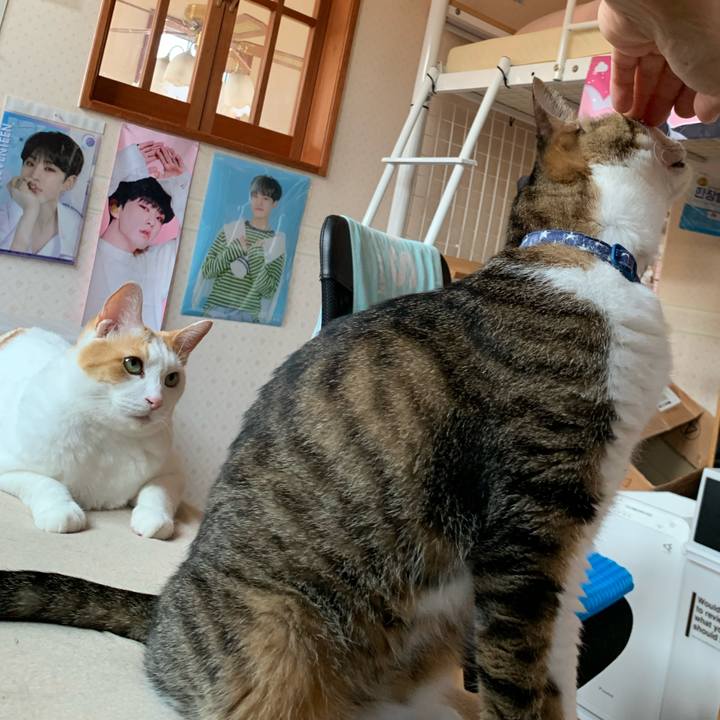 0daf12fc 49b0 4b8d 98f2 8fb137fd2c38 1627424547604