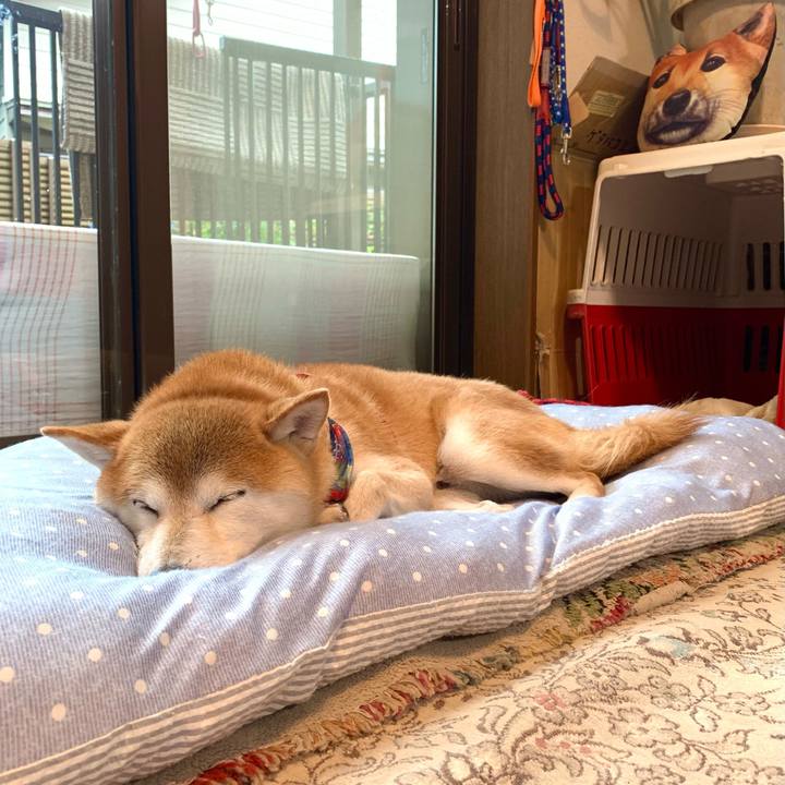 0daf1410 8066 4c6e 9bd7 0cbe41c1d190 1632999074030