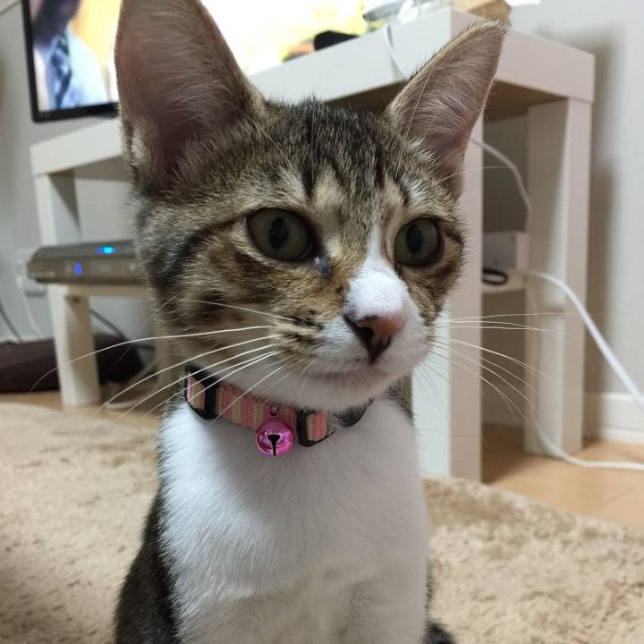 0daf5a3d 8447 4477 81fb 709e148c3be7 1588563239517