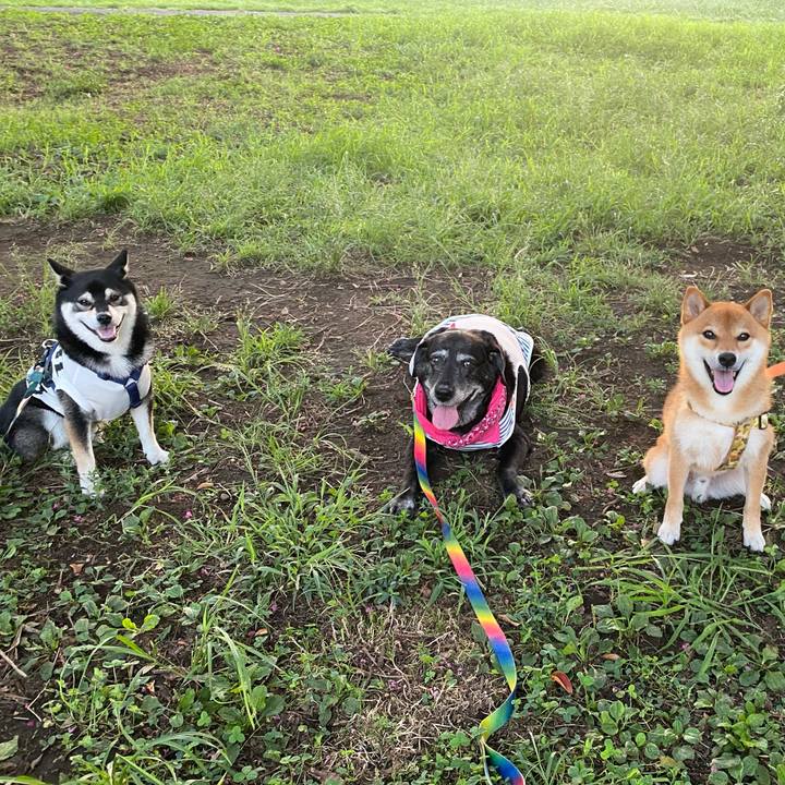 0daf72a7 7d33 40ee a758 386fa5ba783d 1694952681846