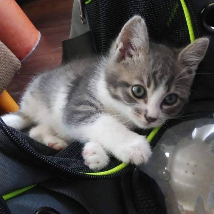 0daf746b 89b4 430e ad36 e296b2e8c978 1619148858546