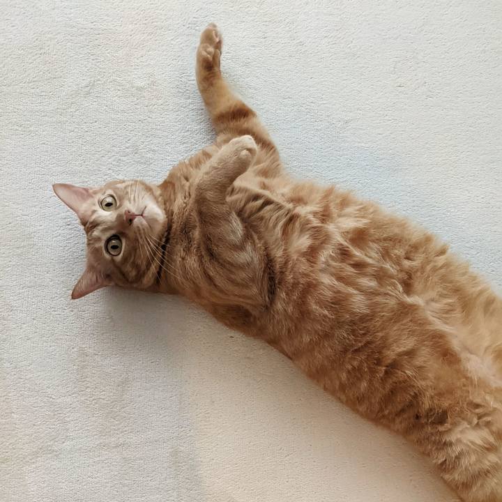 0daf7cff 127c 40aa 82af c1373d87c5ae 1660603639450