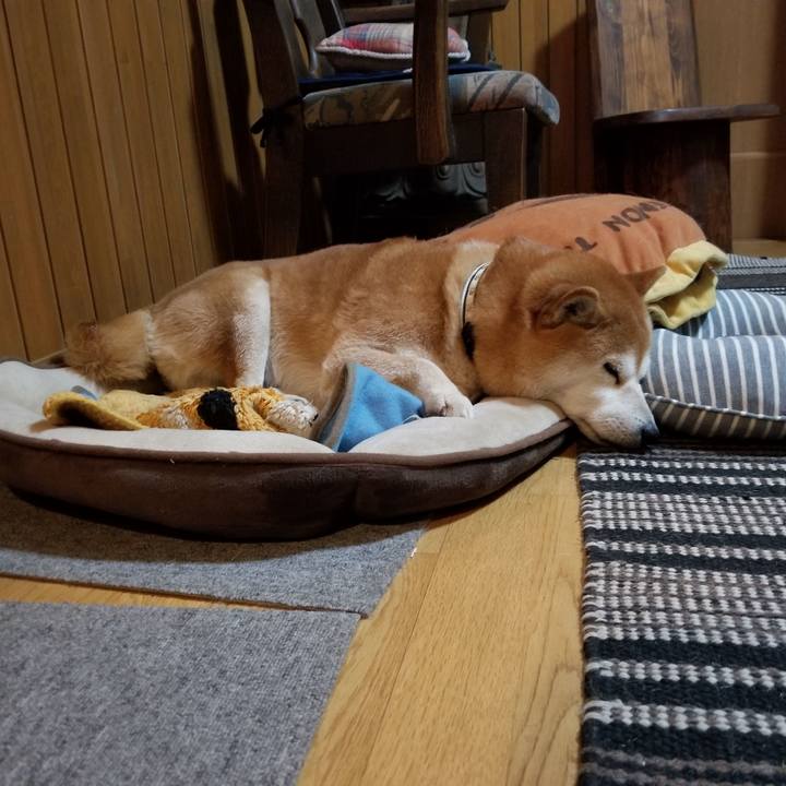 0dafb355 994c 4717 a909 0c27a50745a4 1617625940743