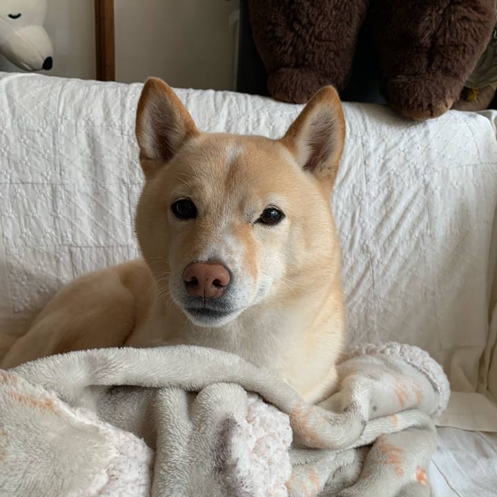 0dafb5fb 5e76 4757 9343 6bf8d0f47e51 1642999146155