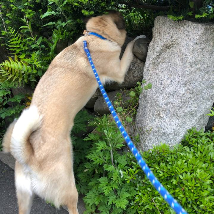 0db071eb d7ab 4820 a084 de99fc333a36 1523971362671