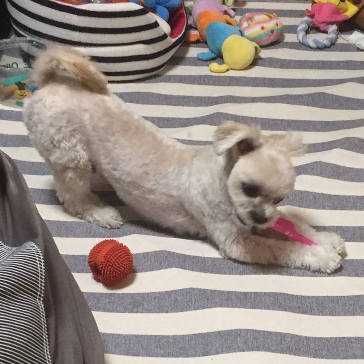 0db0766c 3bd4 423a 937f a86161718908 1513944789211