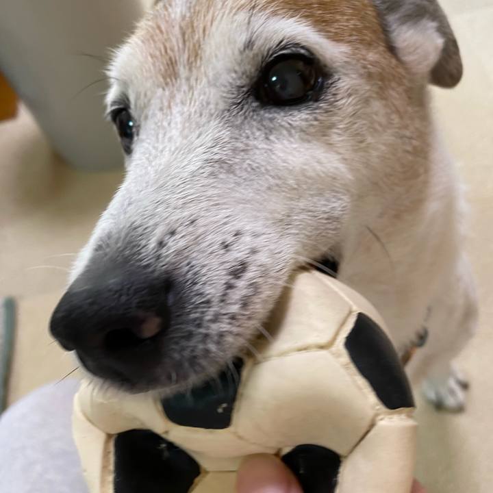 0db08d03 4a7a 43d4 8de9 a94a761460fd 1627784939584