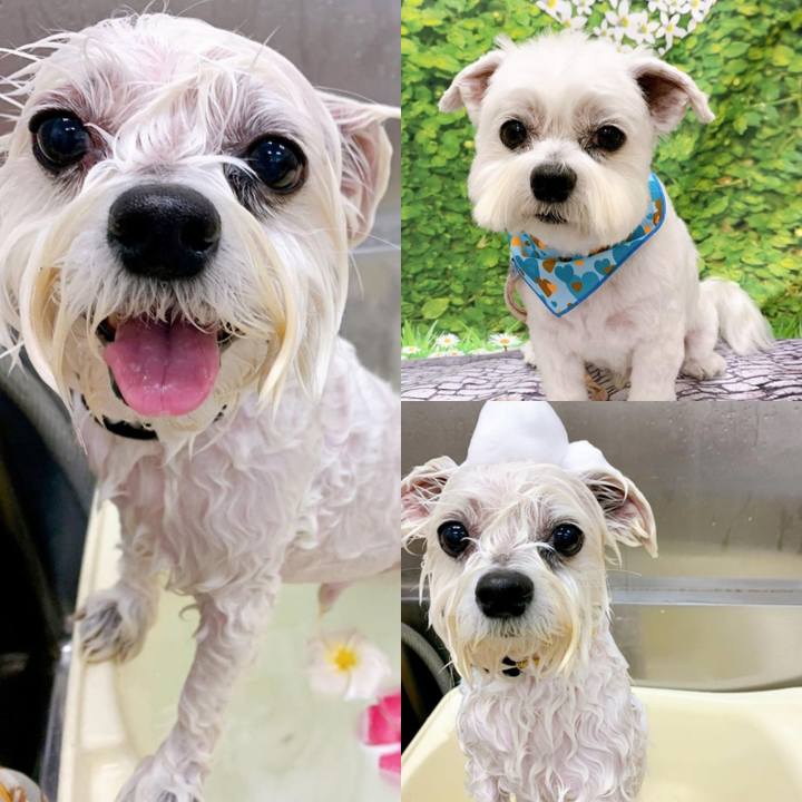 0db0aba2 6615 427b 8b82 b72e4a06f996 1644143236935