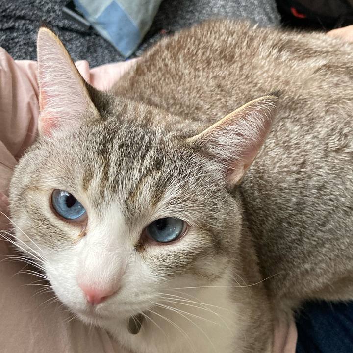 0db0bd39 725e 4262 846a fdc377836a58 1619346976925