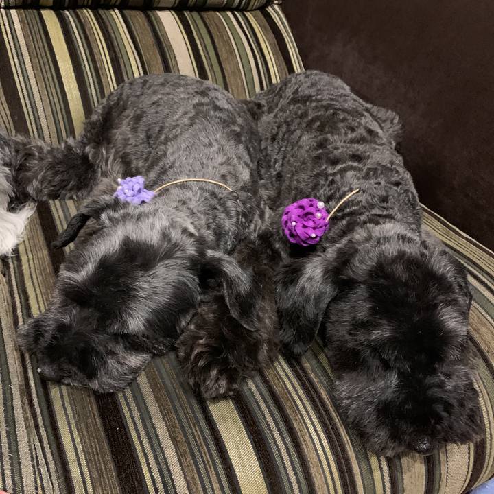 0db0bf52 e763 4816 a1ad f89e01e61120 1591952357115