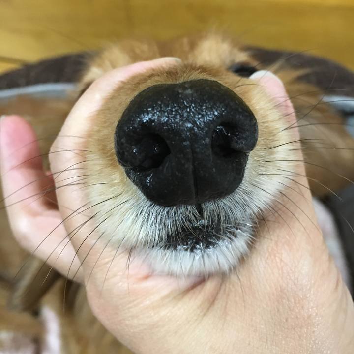 0db0cdd8 4c52 4c47 9a16 c656bd114f62 1524282688726