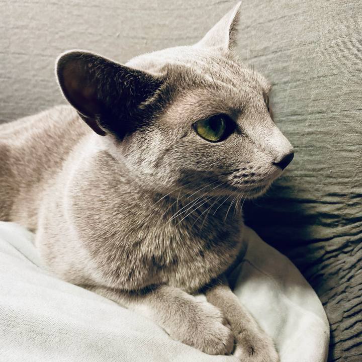 0db0cfdf a148 4a8a a2ec 65e9cdd47646 1637818028847