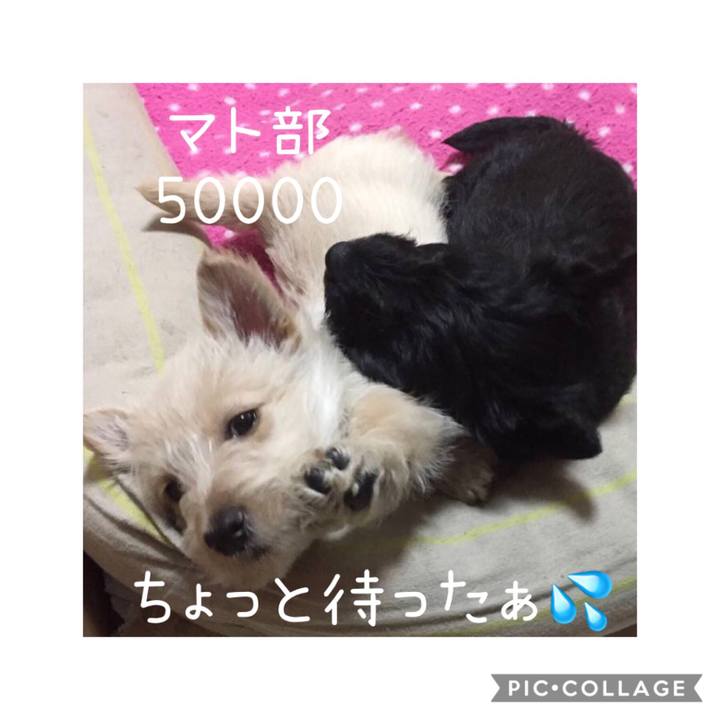 0db0eeb8 4f67 4112 af38 54fa6e4d2be5 1566634777489