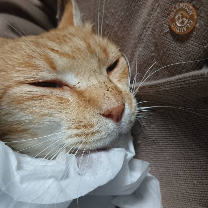 0db0ff3c 62ce 43da 8e3a 8fb29f5f280f 1589920015584