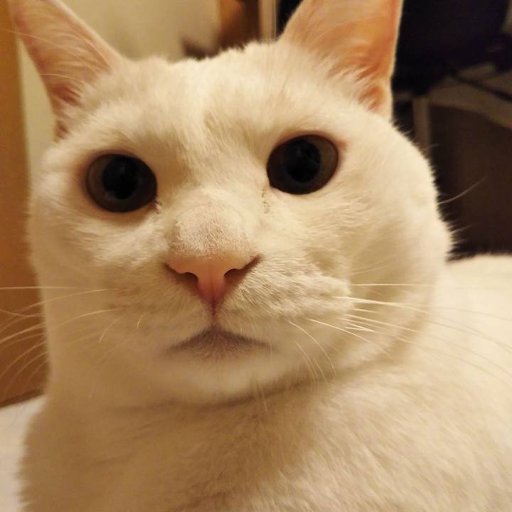 0db115ca c945 4db6 ac32 481ad9c6792d 1566574195147