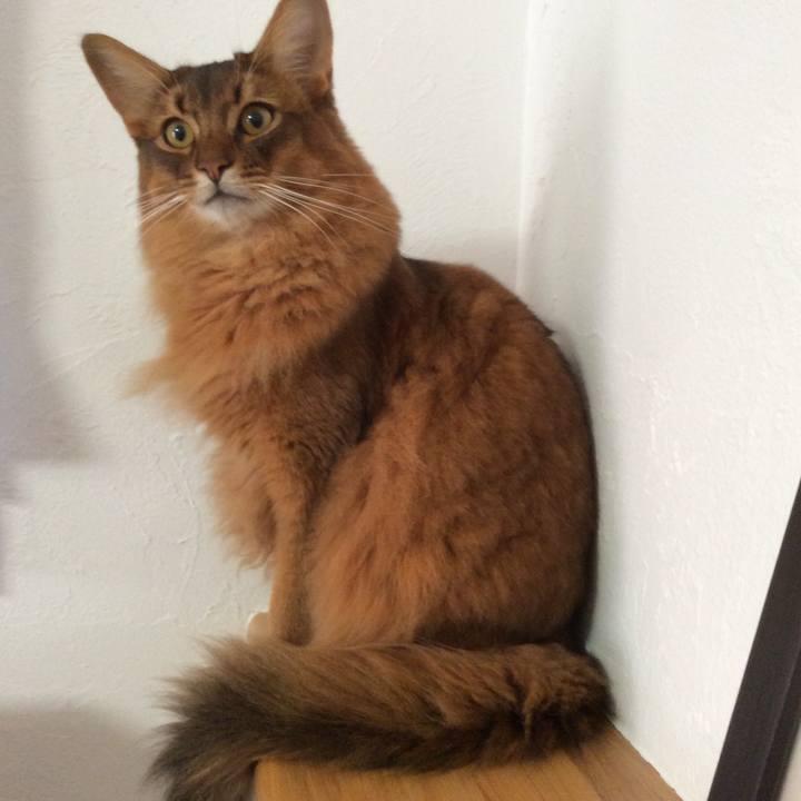 0db121fb 9675 4775 ba80 3e30b598ceed 1605656954007