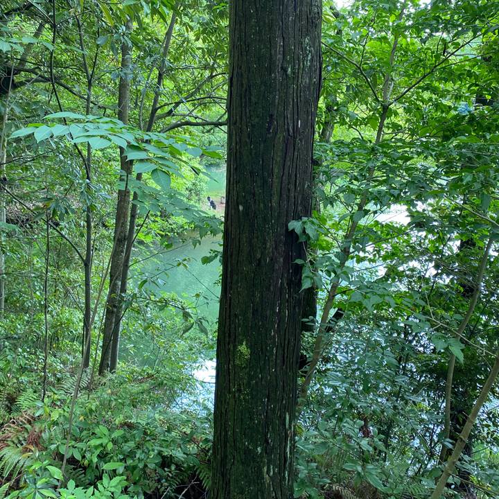 0db12994 a7ea 4896 a545 bf7832f91f73 1654495276833