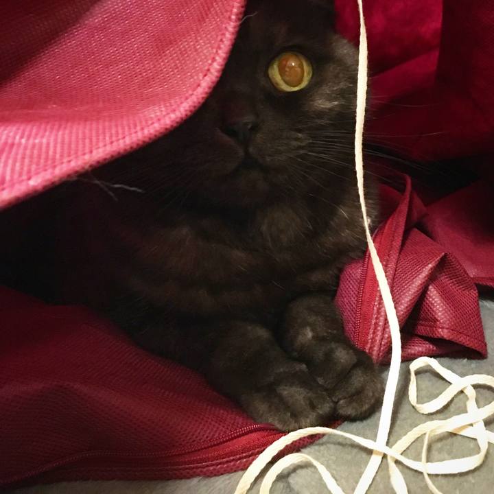 0db12db1 20bb 4337 b39f 0f9a296940bd 1573226352887