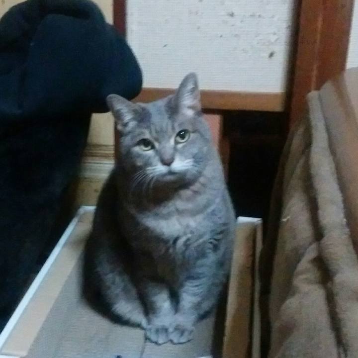 0db136b7 3d89 4a7f 96e8 d1890c16bfe1 1546032753280