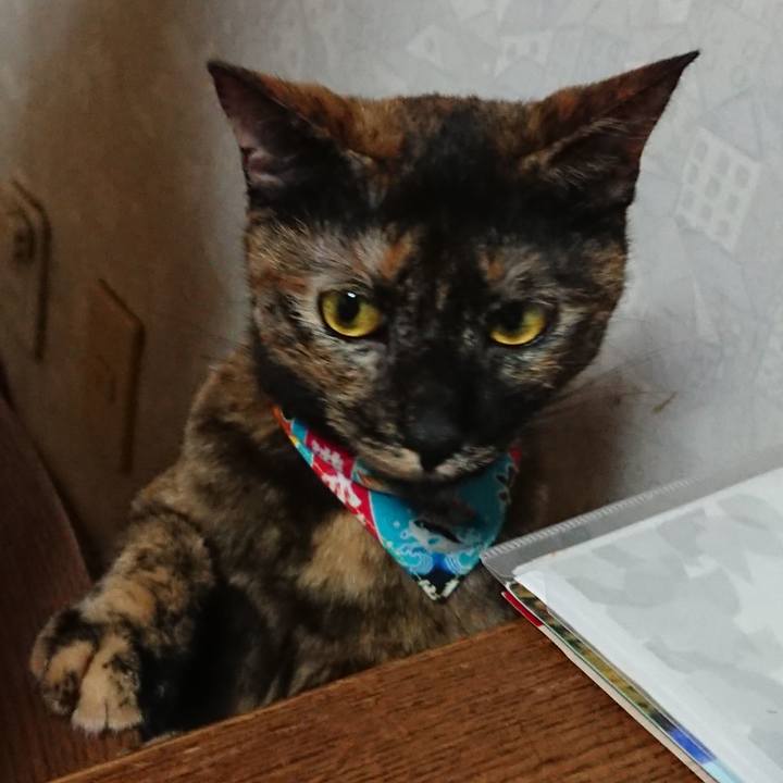 0db15ed3 018f 41c9 b6f2 cbe0b0e28349 1537716509732