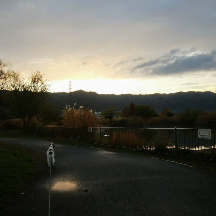 0db19868 2f14 494d 8330 997cadbaf844 1543966774584