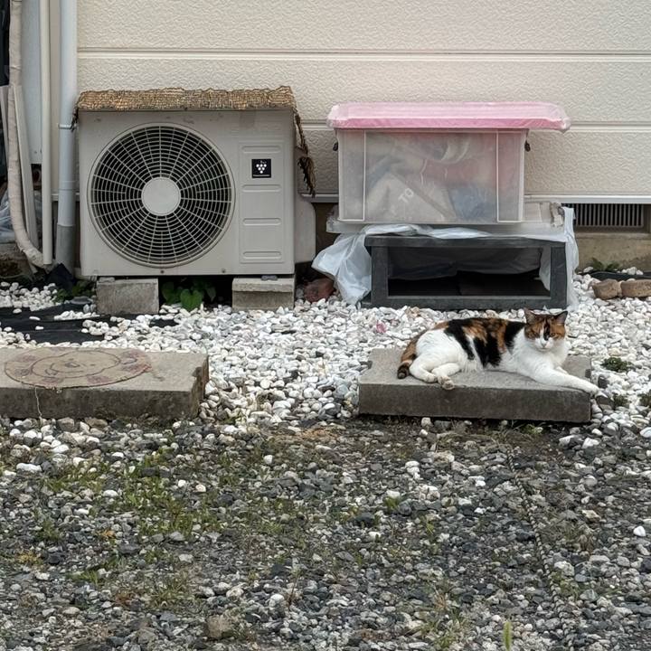 0db1ae0e 983a 4544 b155 377a628ff668 1751856178079