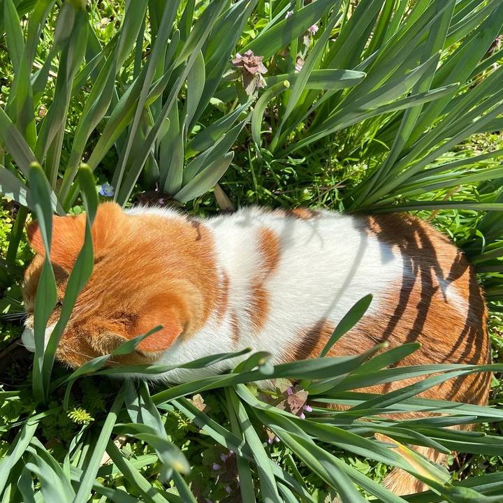 0db1ddf6 d716 4c2d 9314 707de28bdb9c 1649489751827