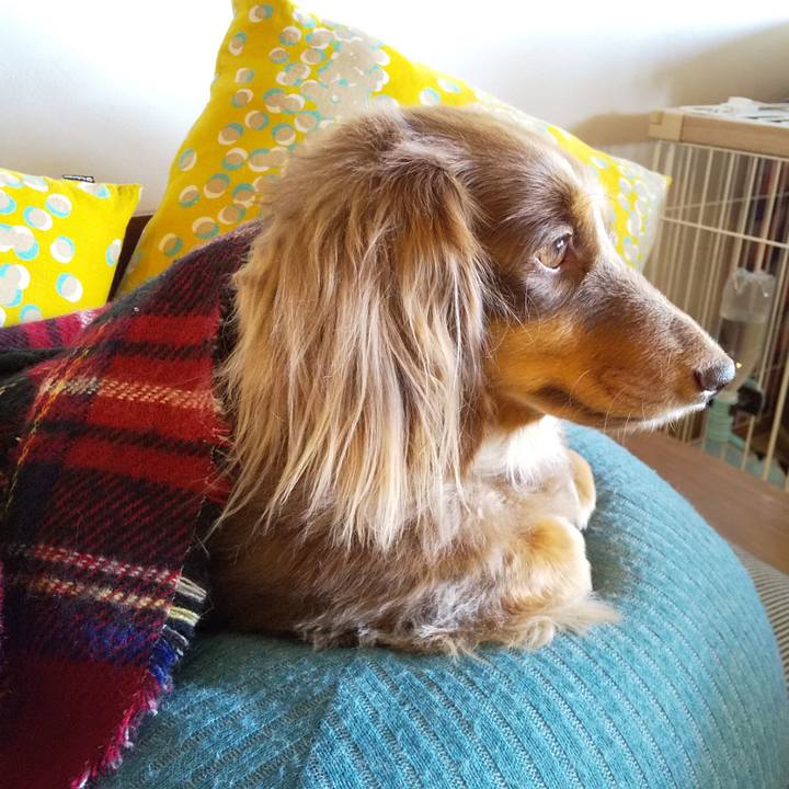 0db21c7a 35e2 4152 851e f736ae995330 1602818176271