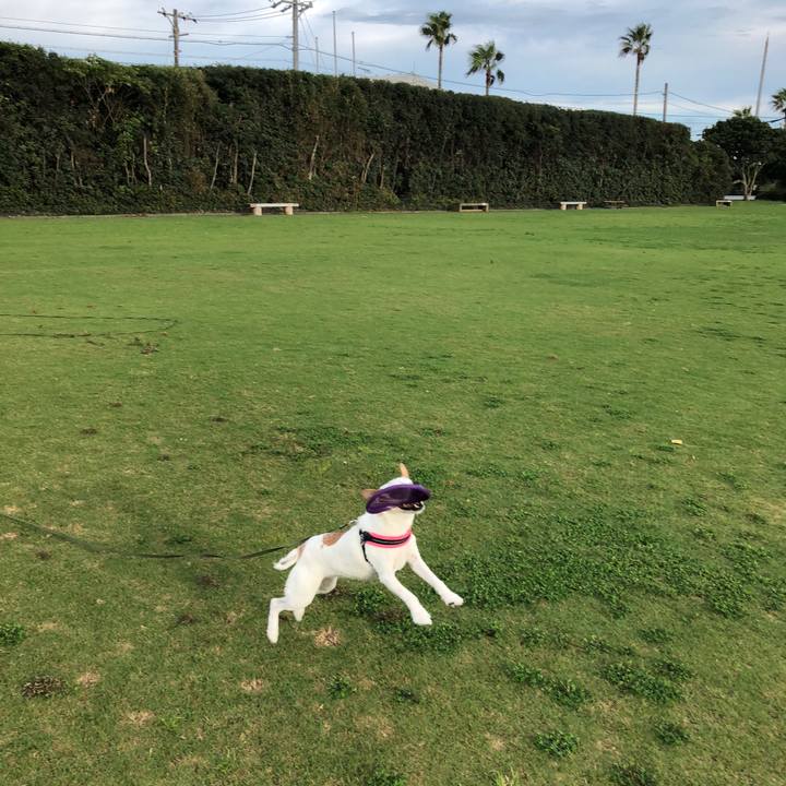 0db264bb c98a 4182 aca3 bb0d1b57e923 1535807294525