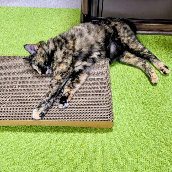 0db295bf 20ee 484e 946d 2275717ea948 1768097669171