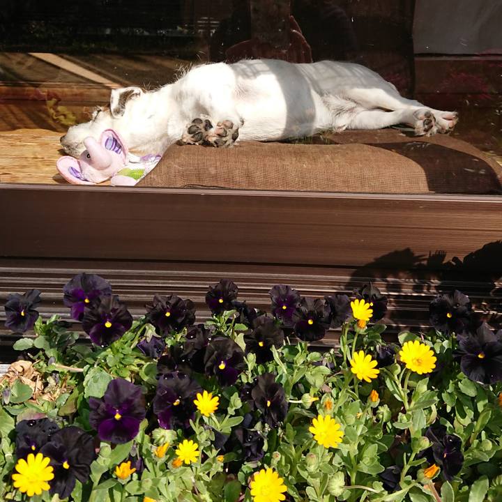 0db2c309 59be 4805 bddb 390a3f9cae40 1521247008680