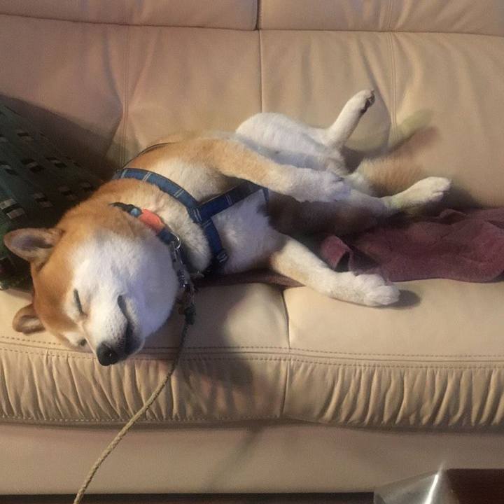 0db2f148 8daf 4aba 896e 6fc804472e5a 1541843758821