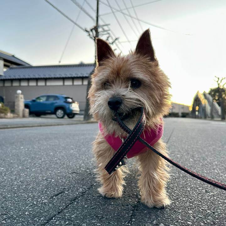 0db308aa 2a2f 432a 9676 fb57af61fa8b 1738811289326