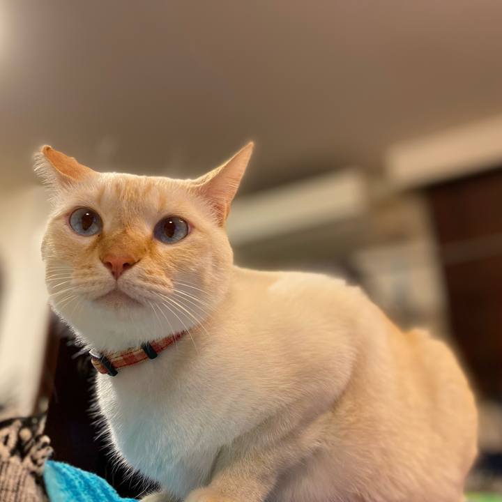 0db3177c b580 465c a4a4 4ce63979e860 1763292941726