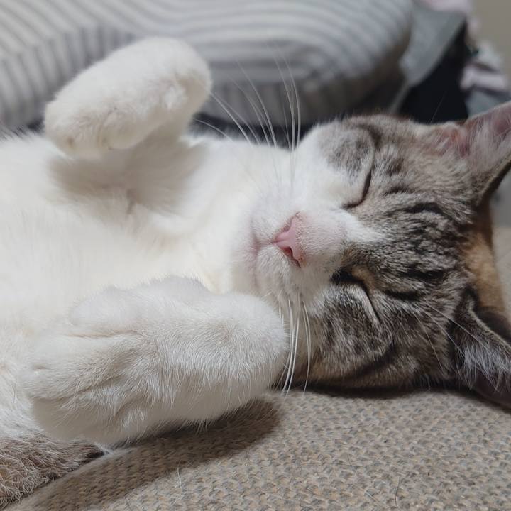 0db352ef df46 4f4c a262 efa948e5f38f 1657454668917