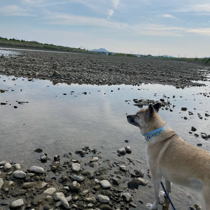 0db362ea 57fe 4188 8f50 9c95cd634d26 1686997536658