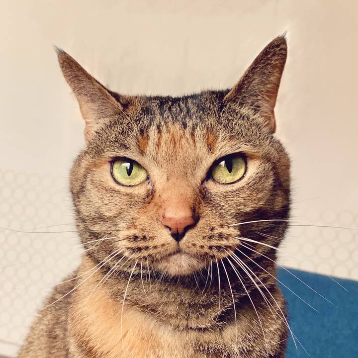 0db39e38 8cd4 497e a64c 5f7856ef4a5f 1621290090939