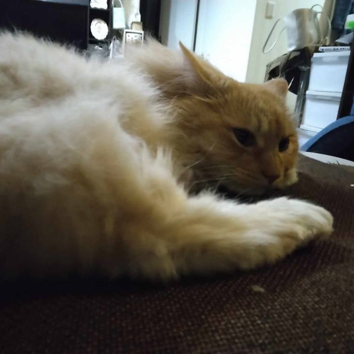 0db3a642 2731 4274 a034 8fced1d90a27 1714471426217