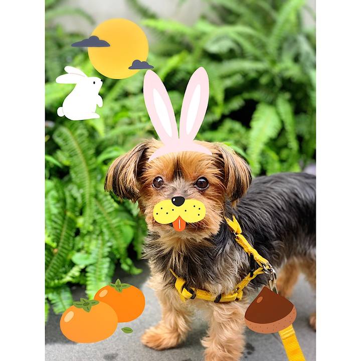 0db3ae5d 8ca2 4587 bd19 a0176488f443 1632172254770