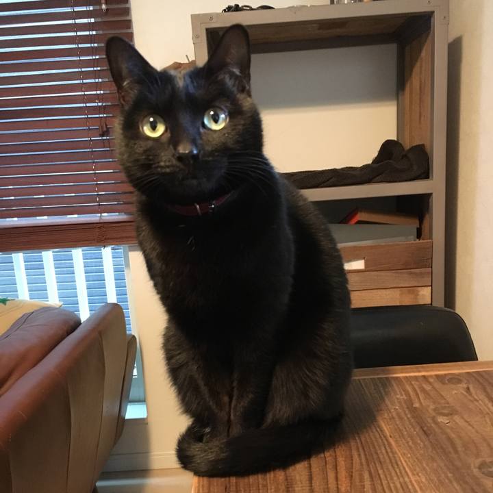 0db3c87f da99 4dd4 8aed d1cb984f929b 1548286135927