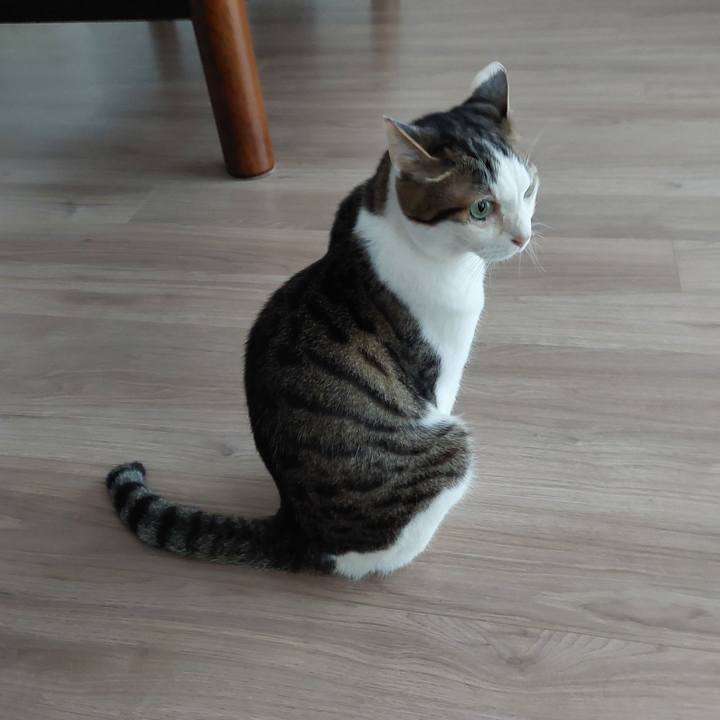 0db46438 5e5d 461e a0e3 4bf4a1dcee2d 1724623657530