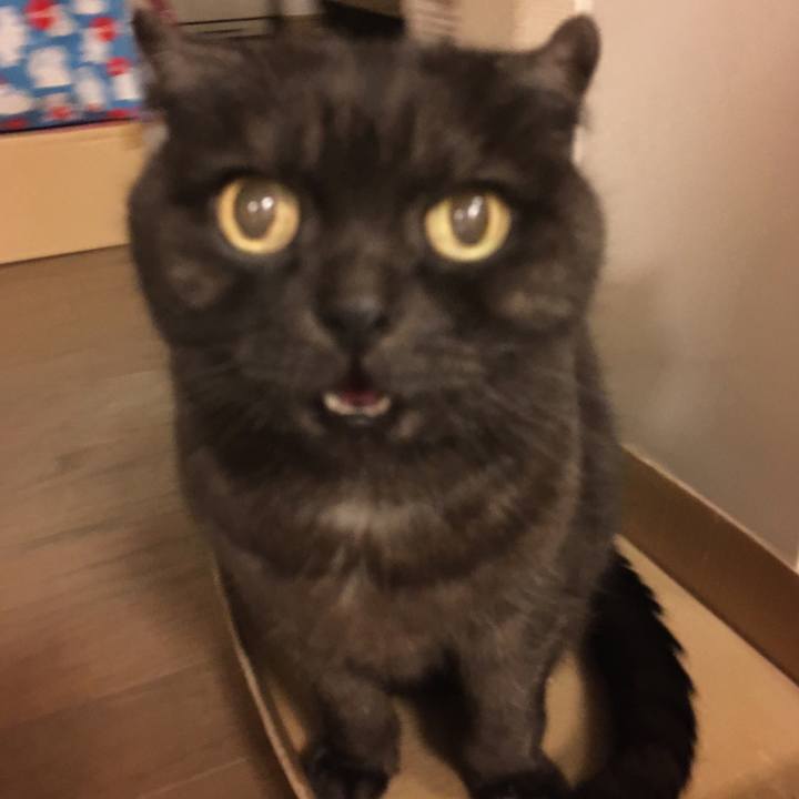 0db47173 5989 474f 9a67 5f648a8bddea 1581696452278