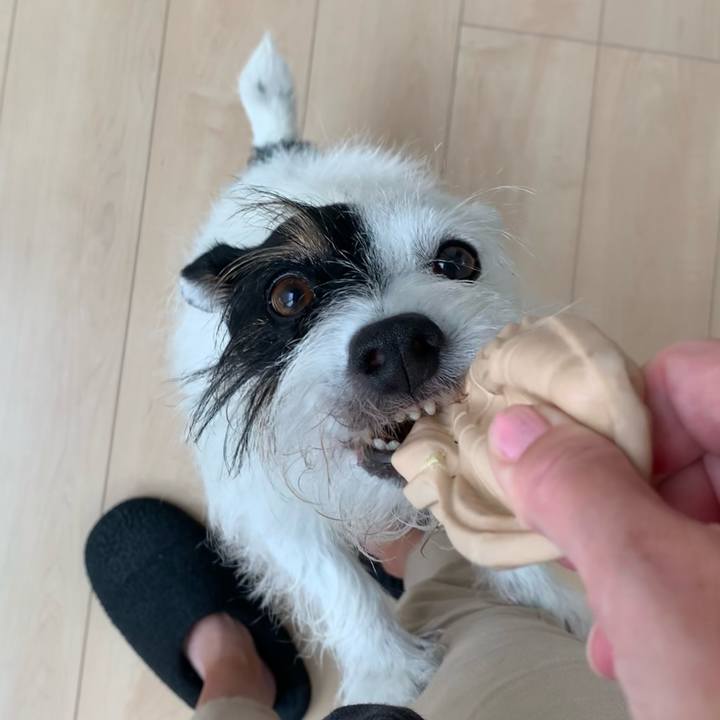 0db4805a 0e73 400d ab68 aabcf82ccea2 1663631793352