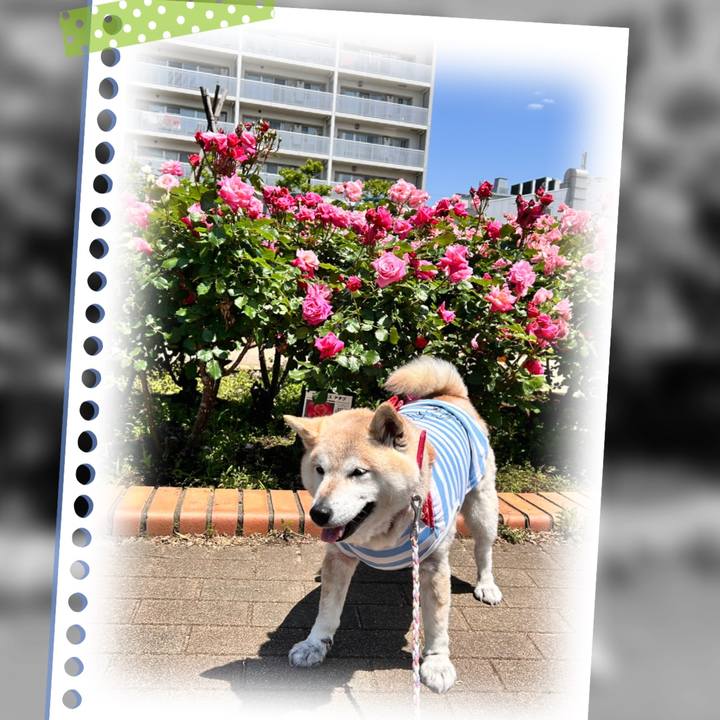 0db4e68f f29e 4112 902c 8e378aefc0e7 1747843506271