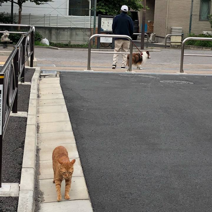 0db50188 68f5 4ed3 b922 c6fea6547b80 1529318815021