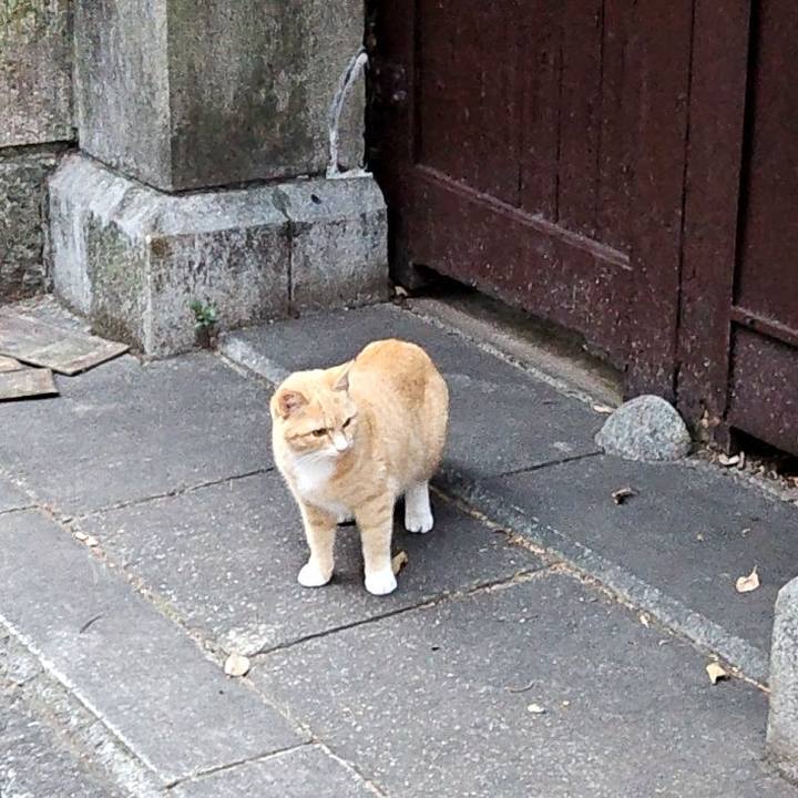 0db57d2a d5da 4fec 86b0 ba486d00759e 1704854641822