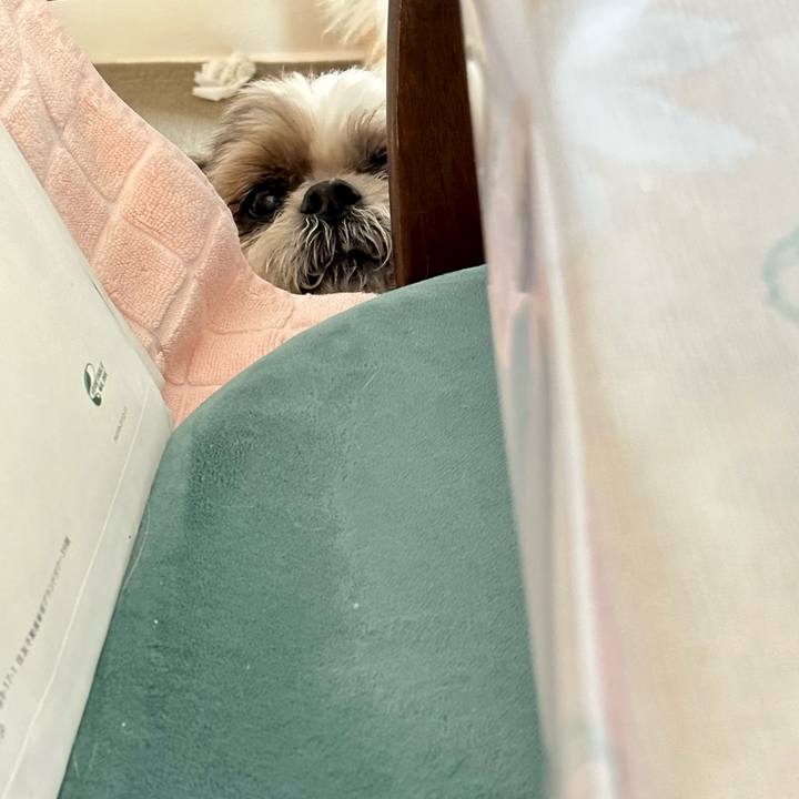 0db594ce a7de 4489 9e40 9bbe4ea1ed82 1686008735861