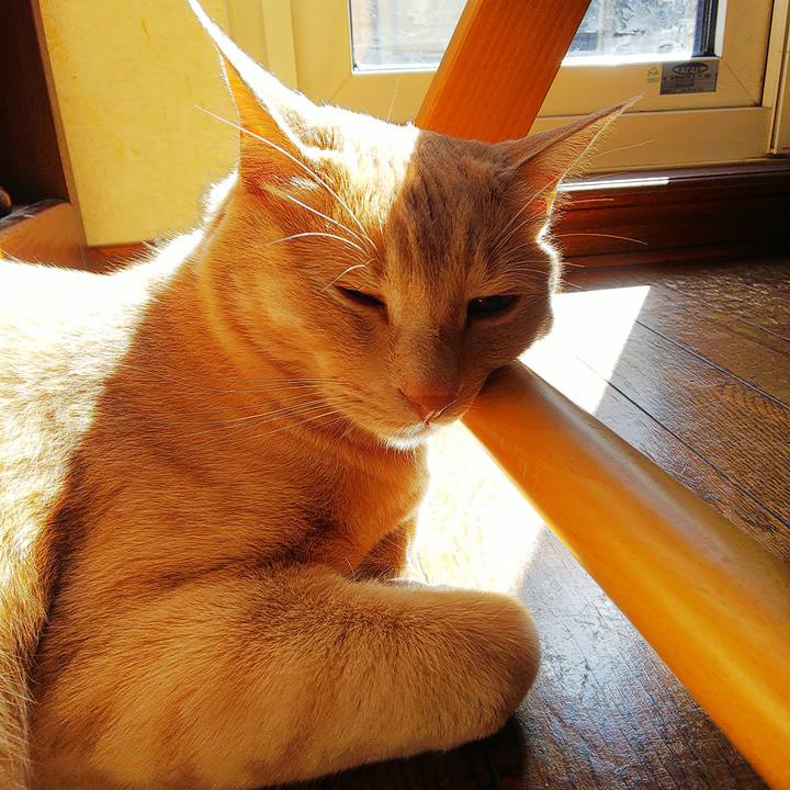 0db59637 d079 45db b933 b917a4683ecf 1622009799105